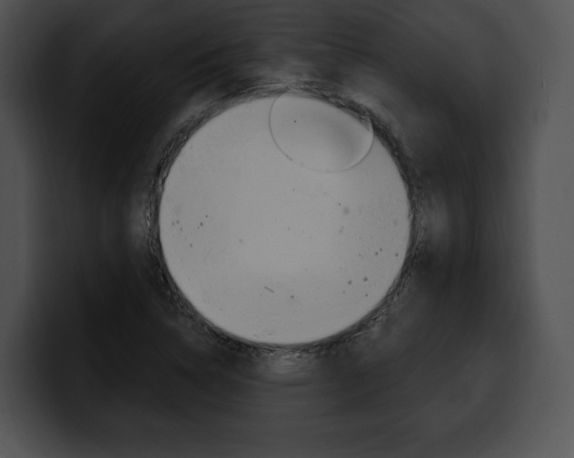 X0000100501314200806130722
