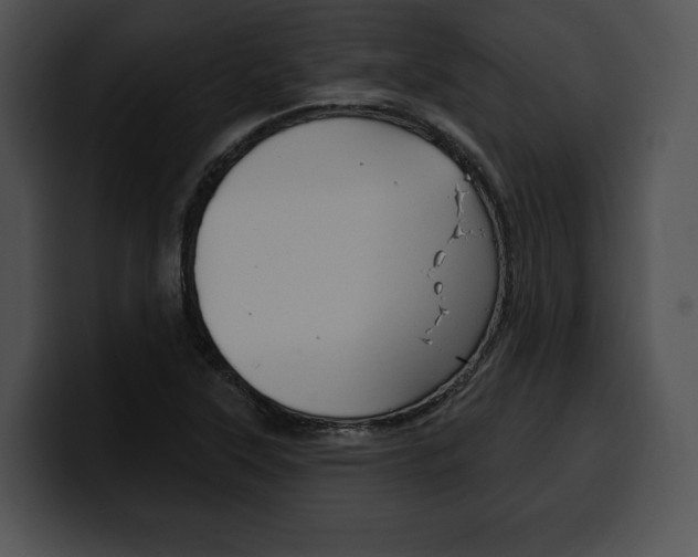X0000100501315200806130722