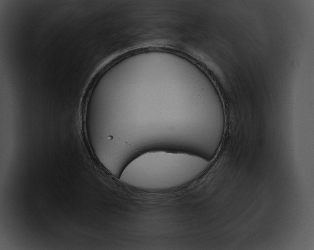 X0000100501316200806130722