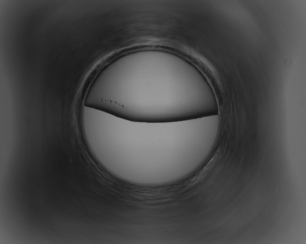 X0000100501318200806130722