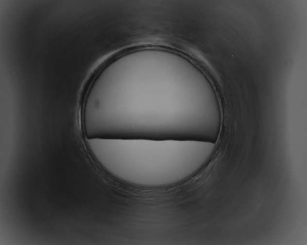 X0000100501320200806130722