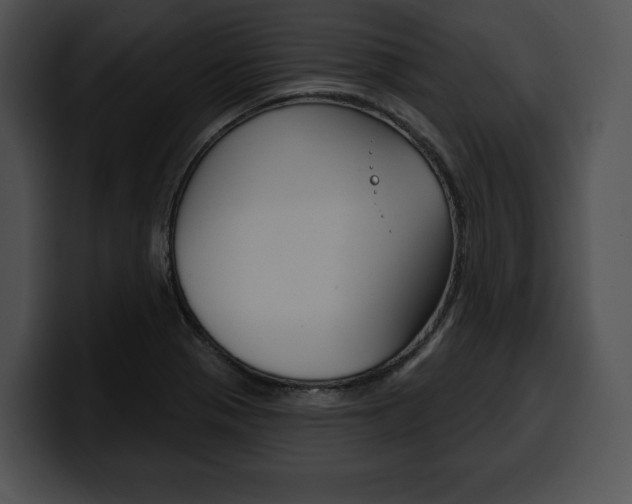 X0000100501321200806130722