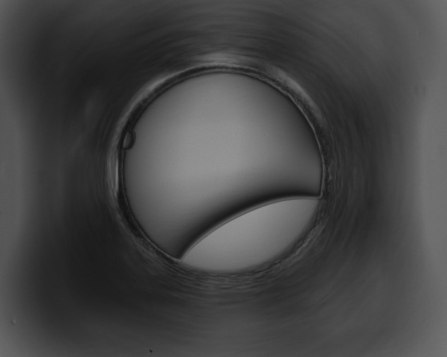 X0000100501323200806130722