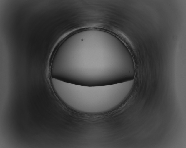 X0000100501324200806130722