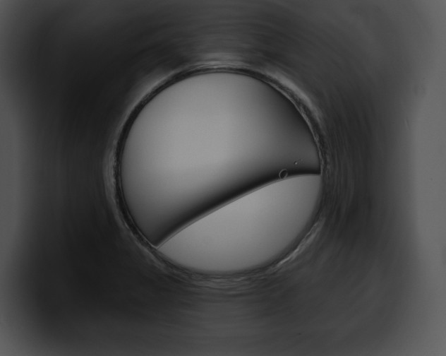 X0000100501325200806130722
