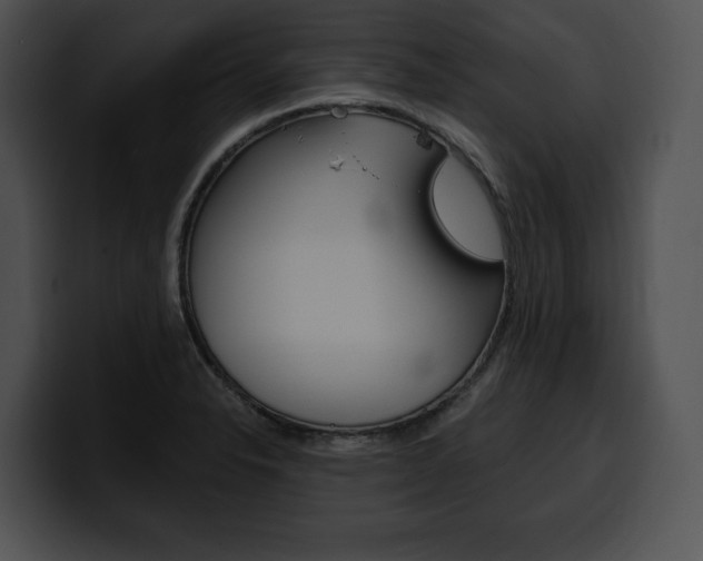 X0000100501326200806130722