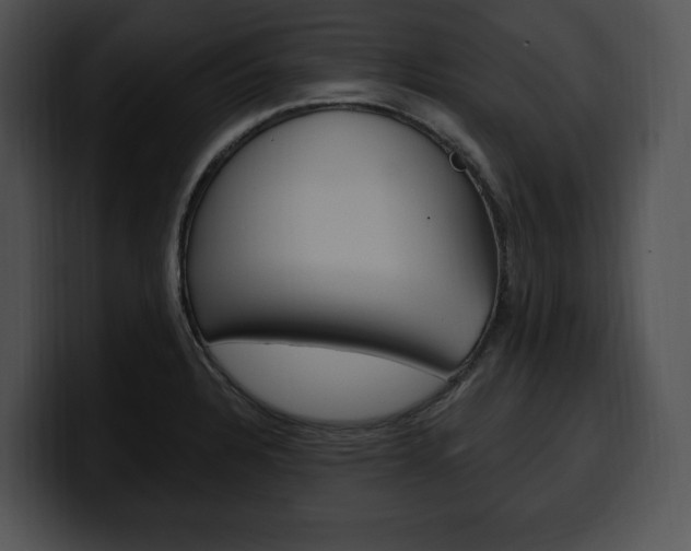 X0000100501328200806130722