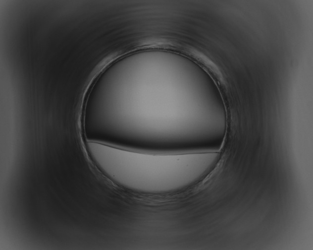 X0000100501330200806130722
