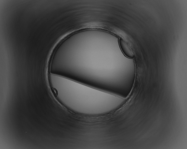 X0000100501331200806130722