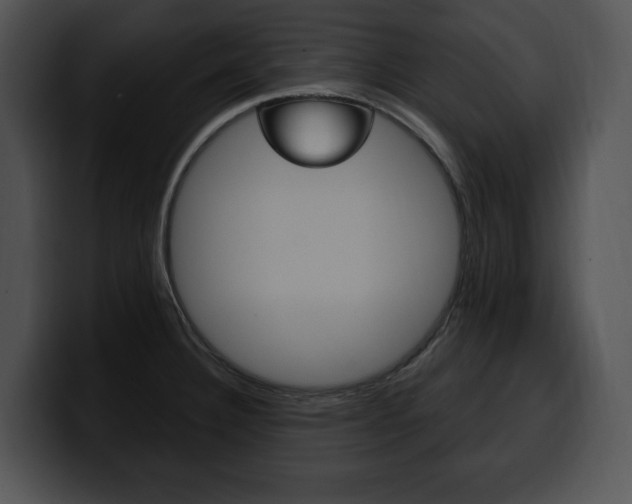 X0000100501332200806130722