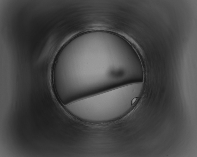 X0000100501333200806130722