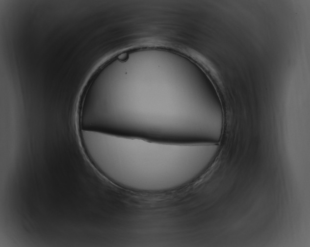 X0000100501334200806130722