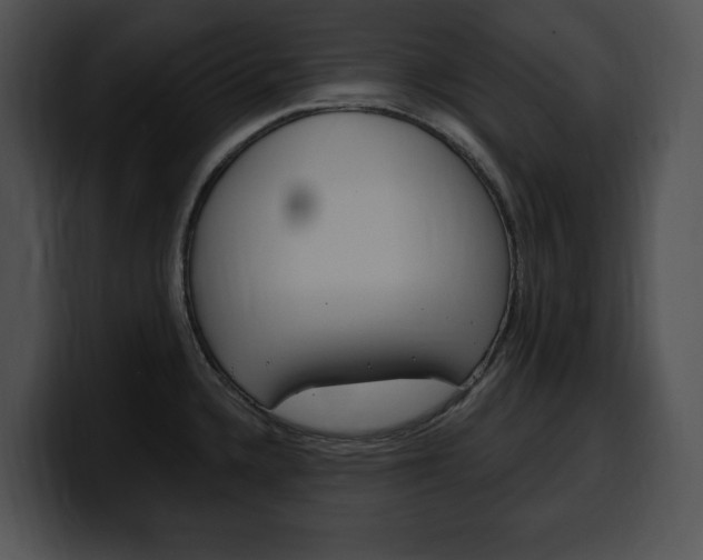 X0000100501336200806130722