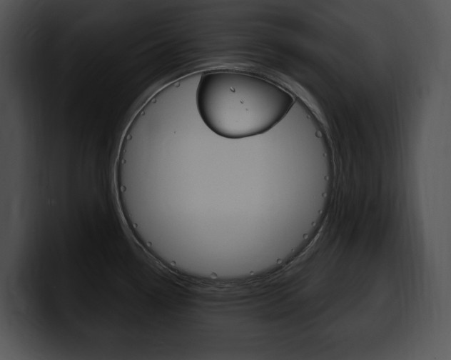 X0000100501338200806130722