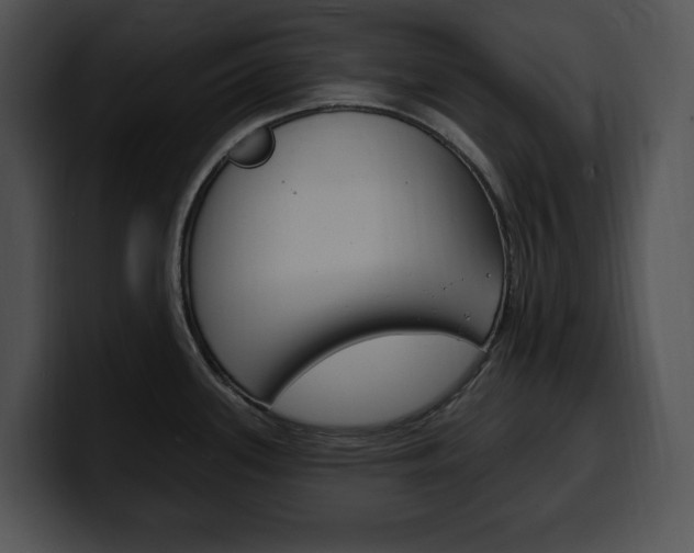 X0000100501339200806130722