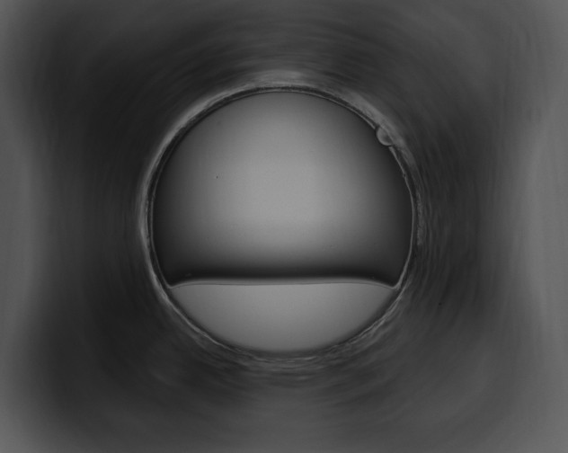 X0000100501342200806130722