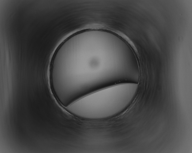 X0000100501343200806130722