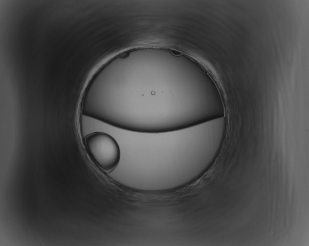 X0000100501344200806130722