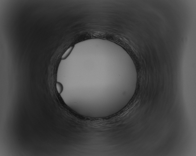 X0000100501345200806130721