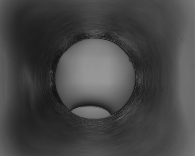 X0000100501346200806130721