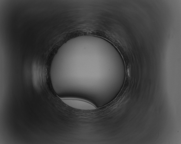 X0000100501347200806130721