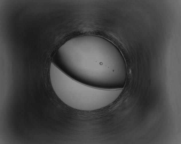 X0000100501348200806130721
