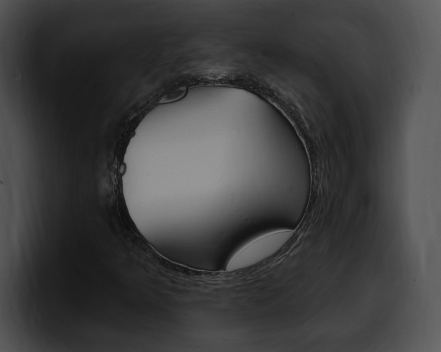 X0000100501349200806130721
