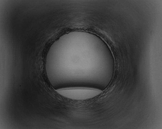 X0000100501350200806130721