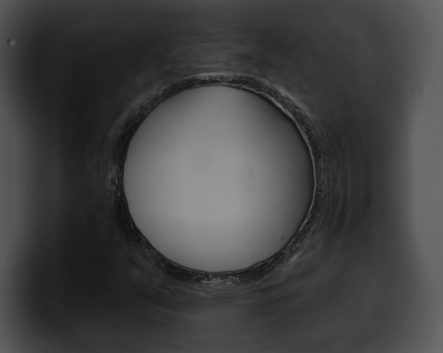 X0000100501351200806130721