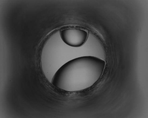 X0000100501352200806130721