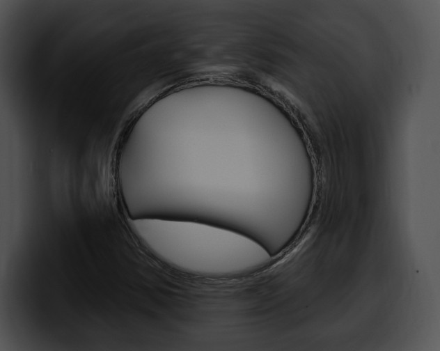 X0000100501354200806130721