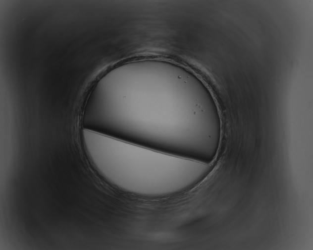 X0000100501355200806130721