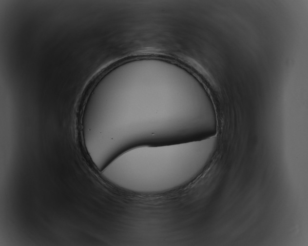 X0000100501356200806130721