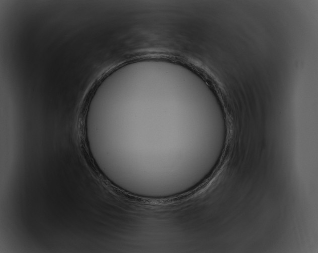 X0000100501357200806130721