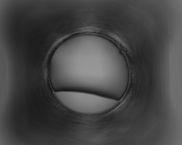 X0000100501358200806130721