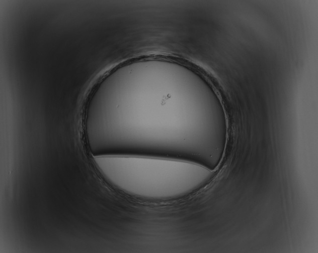 X0000100501359200806130721