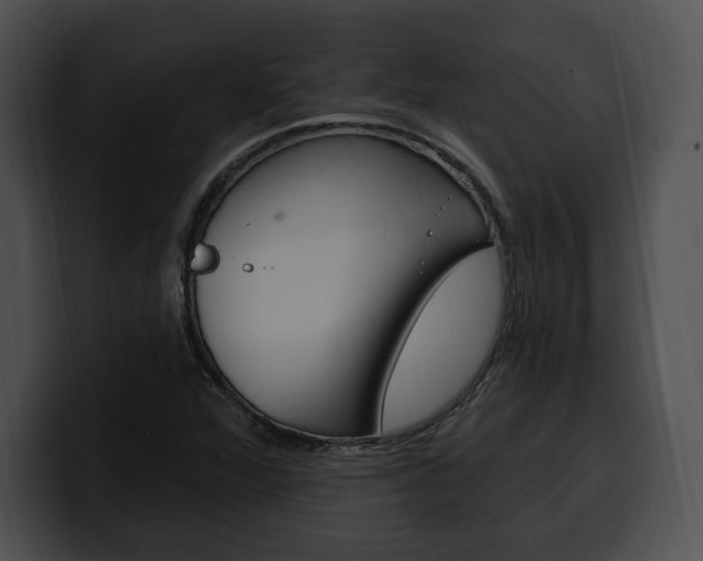 X0000100501360200806130721