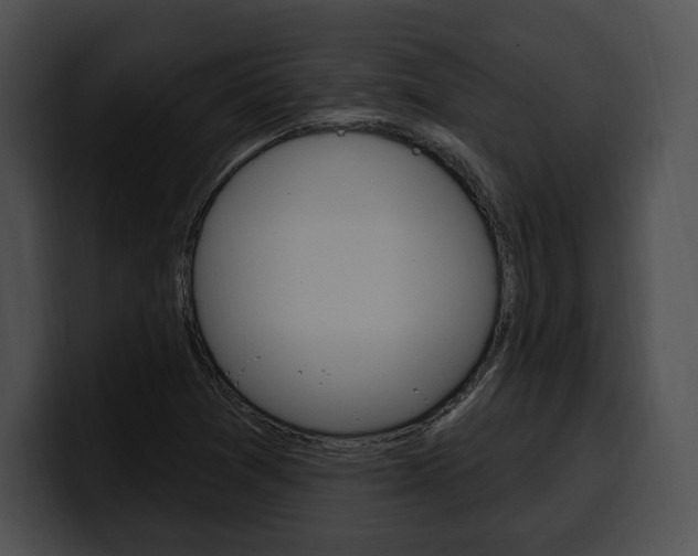 X0000100501361200806130721