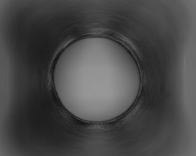 X0000100501362200806130721
