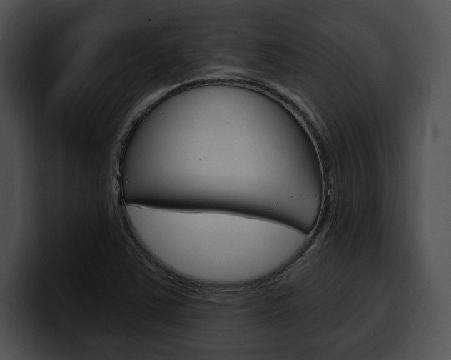 X0000100501363200806130721