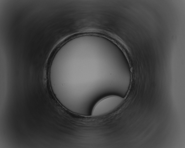 X0000100501364200806130721