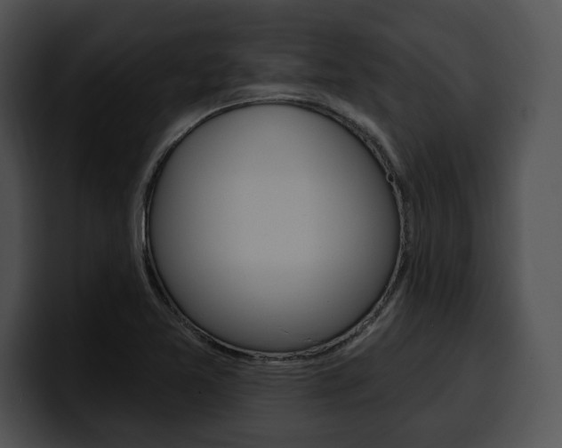 X0000100501365200806130721