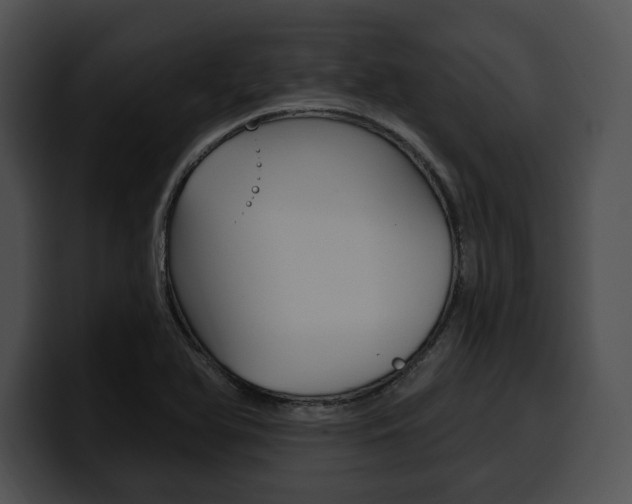 X0000100501366200806130721