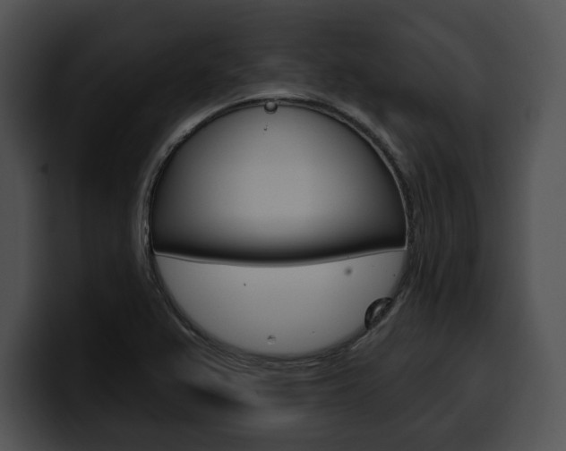 X0000100501367200806130721