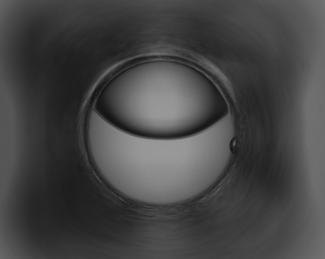 X0000100501368200806130721