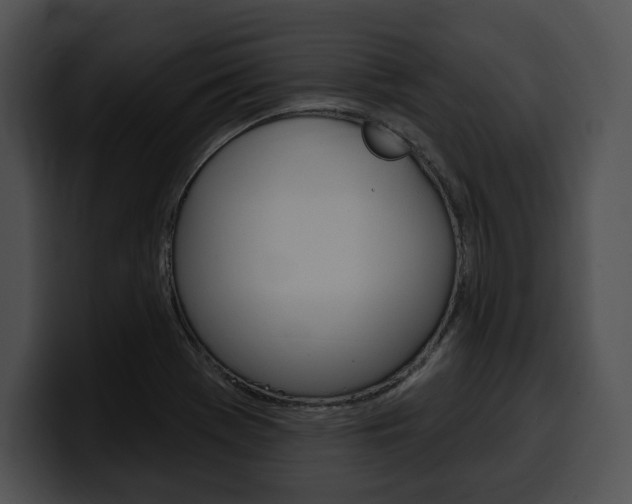 X0000100501369200806130721