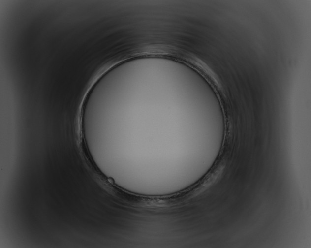 X0000100501370200806130721