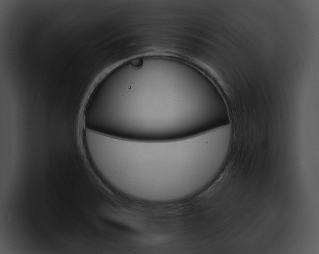 X0000100501371200806130721