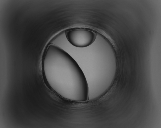 X0000100501372200806130721