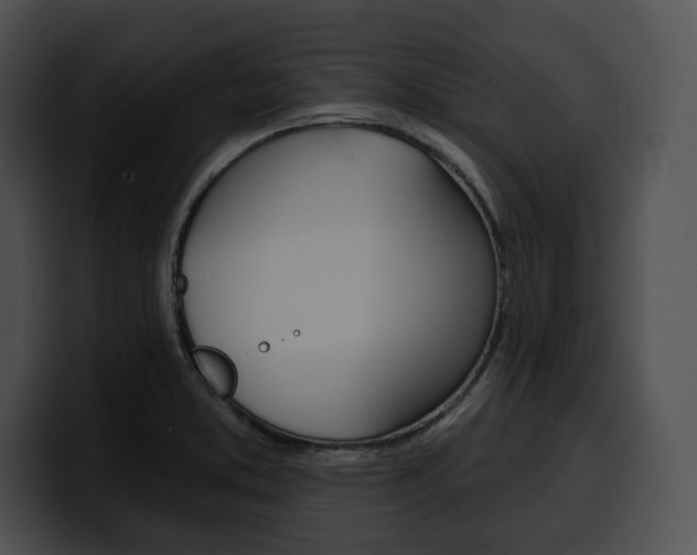 X0000100501373200806130721
